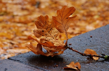 5 sposobów na jesienną chandrę